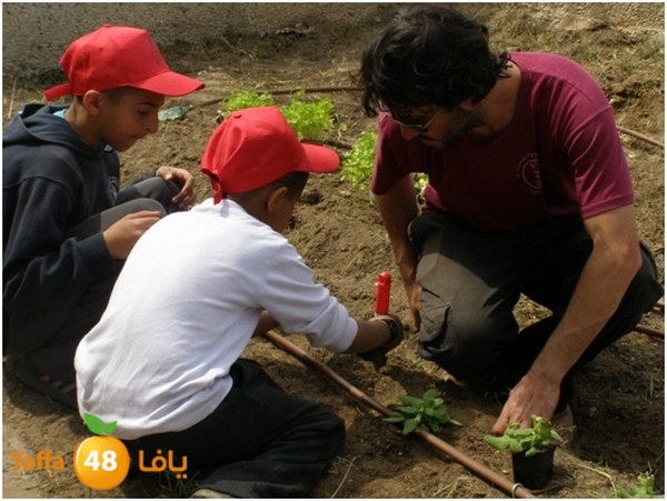 jamhierey lud0403 (5).jpg